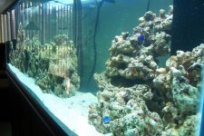 100_1643.JPG