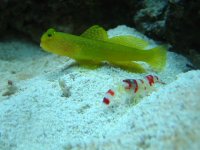 IMG_2554.JPG
