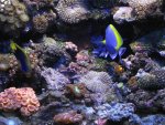 IMG_3524a.JPG