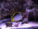 dsc00064_772.jpeg