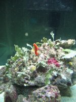 IMG_1099.JPG