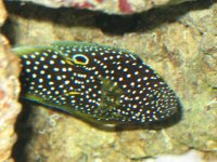IMG_1150.JPG