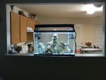 DSCF3010.JPG