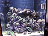 09 05 09 fts solana.jpg