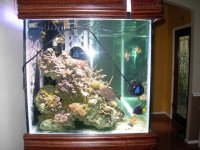 DSCN3342.jpg