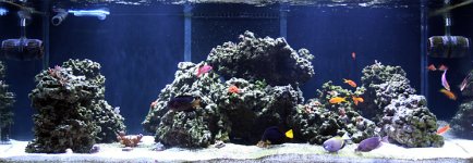 fts.jpg