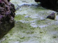 IMG_0018 (Small).JPG