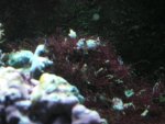 CIMG0281.JPG