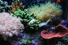 IMG_0347.jpg