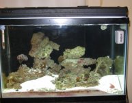 08 08 08 full tank.JPG