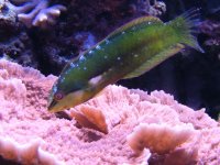 DSCF1126.jpg