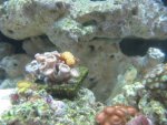 09 01 grumpy and zoas.JPG