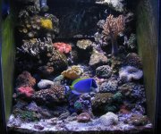 full1-1-1-09a.JPG