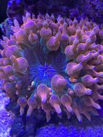 40F55439-D5C0-4CD4-92C7-523E7309F581.jpeg
