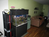 tank in living room.JPG