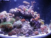 my aquapod.jpg