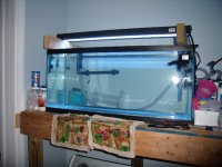 frag tank 004.JPG