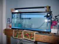 frag tank 005.JPG