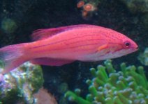DSCF2683.JPG