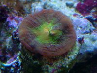 DSCF2664.JPG
