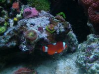 DSCF2677.JPG