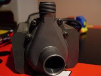 DSC07838.JPG