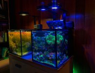D9F78574-1C0F-441E-ABB5-E3469B87B3BC.jpeg