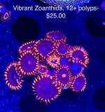 F584B7CA-4499-4BC1-81BE-C3D3644431DD_1_201_a.jpeg