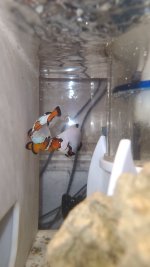 20201011_184245.jpg