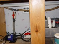 DSC08226.JPG
