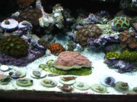 IMG_3503.jpg