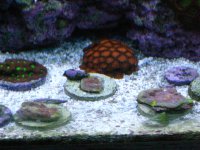 IMG_3479.jpg
