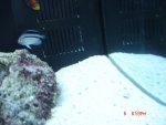 DSC00504.JPG