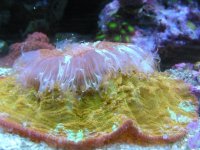 DSCN1199.jpg
