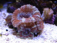 IMG_0029.jpg