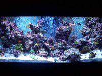 FTS_1.jpg