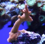 IMG_0096.JPG