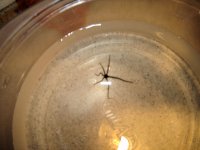 DSC01573.JPG