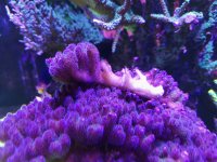 20201101_184512.jpg