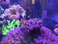 20201101_184625.jpg
