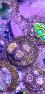 20201125_231605.jpg