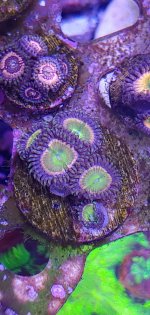 20201125_231621.jpg