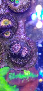 20201125_231614.jpg