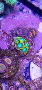 20201125_231559.jpg