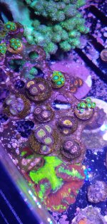 20201125_231549.jpg
