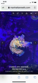 E616CE9B-CB9B-4A27-AC0D-C0C9468B1BC9.jpg