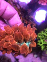 B8B5DEDC-3141-48E2-95F7-FE3428AF9A37.jpeg