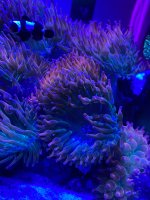 23E45B7D-D515-4026-A97C-DC53095AEE2B.jpeg
