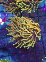 12C4438A-271C-417D-88A0-D3E53F94C559.jpeg