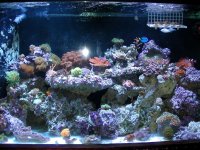 Tank_Update 006.jpg